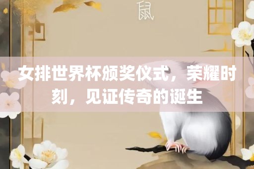 女眉山市正发家政服务有限公司排世界杯颁奖仪式，荣耀时刻，见证传奇的诞生