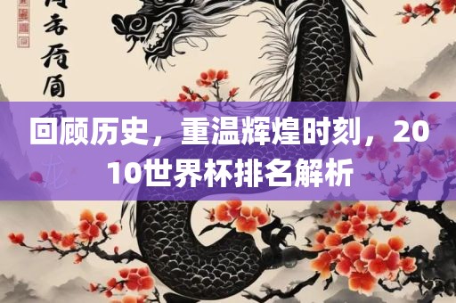 回顾历史，重温辉煌时刻，2010世界杯排名解析