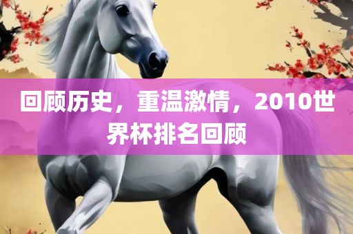 回顾历史，重温激情，2010世界杯排名回顾