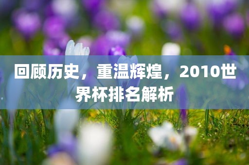 回顾历史，重温辉煌，2010世界杯排名解析眉山市正发家政服务有限公司