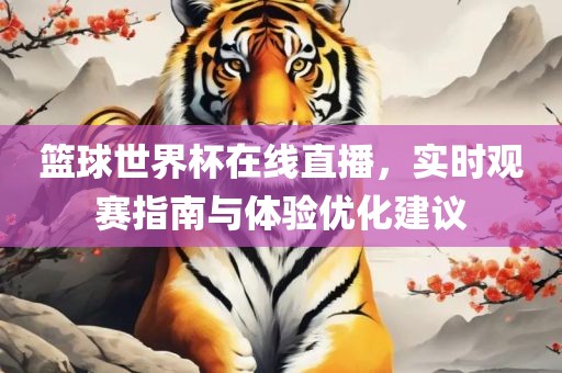 篮球世界杯在线直播，实时观赛指南与体验优化建议