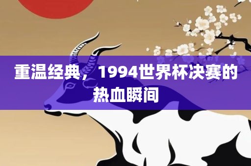 重温经典，1994世界杯决赛的热血瞬间眉山市正发家政服务有限公司