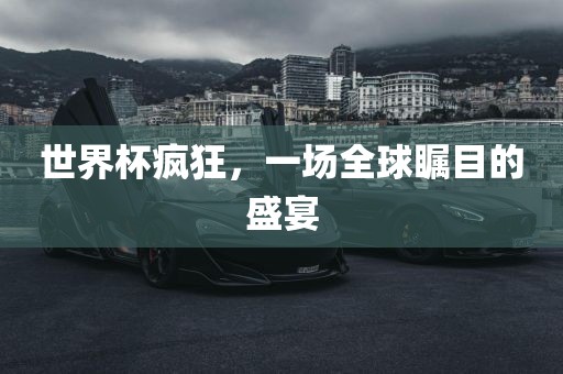 世界杯疯狂，一场全球瞩目的盛宴眉山市正发家政服务有限公司