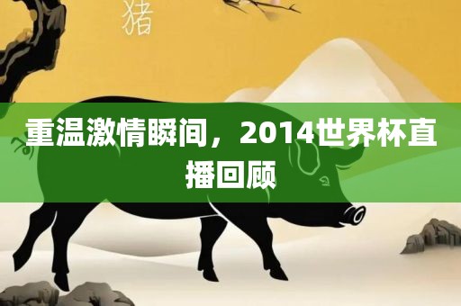 重温激情瞬间，2014世界杯直播回顾