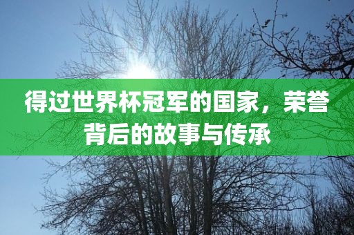 得过世界杯冠军的国家，荣誉背后的故事与传承