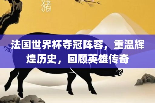 法国世界杯夺冠阵容，重温辉煌历史，回顾英雄传奇
