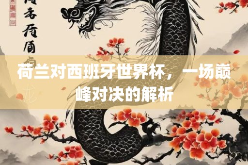 荷兰对西班牙世界杯，一场巅峰对决的解析