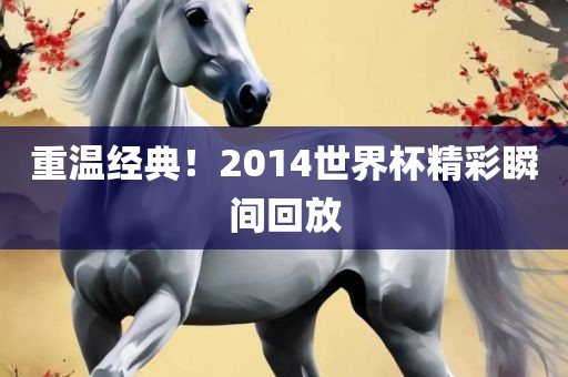 重温经典！2014世界杯精彩眉山市正发家政服务有限公司瞬间回放
