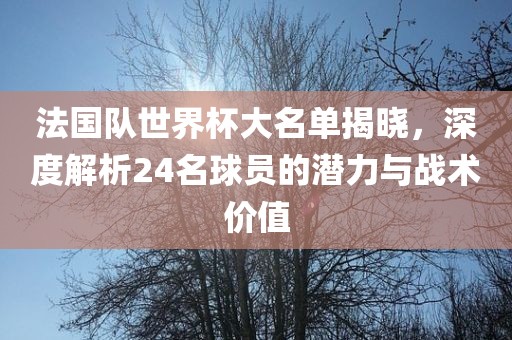 法国队世界杯大名单揭晓，深度解析24名球员的潜力与战术价值眉山市正发家政服务有限公司