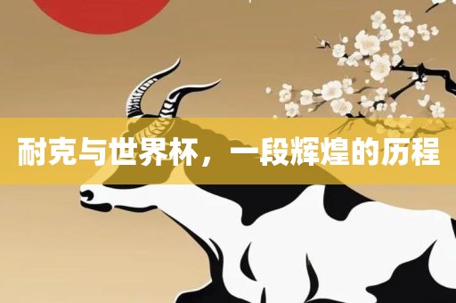 耐克与世界杯，一段辉煌的历程