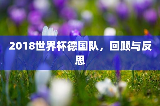 2018世界杯德国队，回顾与反思