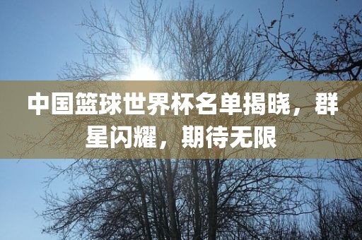 中国篮球世界杯名单揭晓，群星闪耀，期待无限