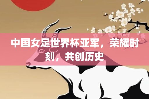 中国女足世界杯亚军，荣耀时刻，共创历史