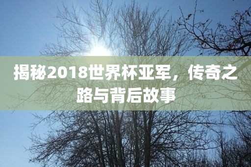 揭秘2018世界杯亚军，传奇之路与背后故事