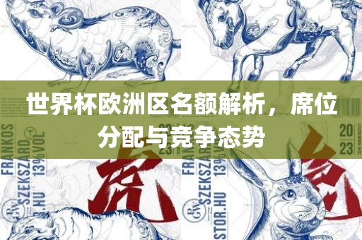 世界杯欧洲区名额解析，席位分配与竞争态势