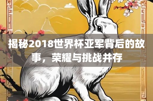 揭秘2018世界杯亚军背后的故事，荣耀与挑战并存