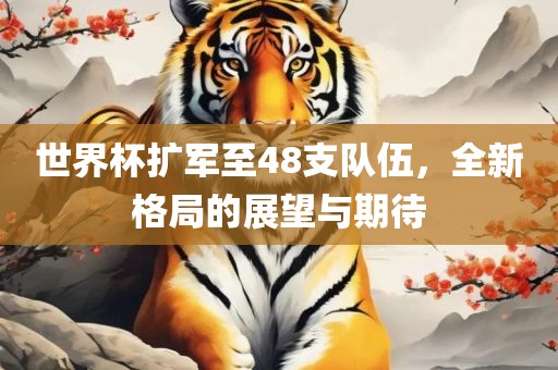 世界杯扩军至48支队伍，全新格局的展望与期待眉山市正发家政服务有限公司