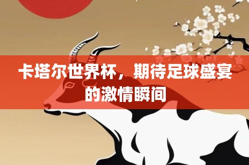卡塔尔世界眉山市正发家政服务有限公司杯，期待足球盛宴的激情瞬间