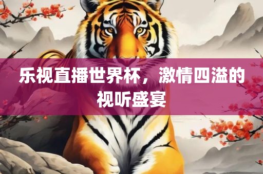 乐视直播世界杯，激情四溢的视听盛宴眉山市正发家政服务有限公司