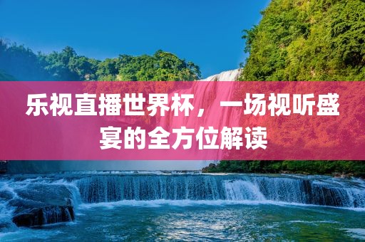 乐视直播世界杯，一场视听盛宴的全方位解读