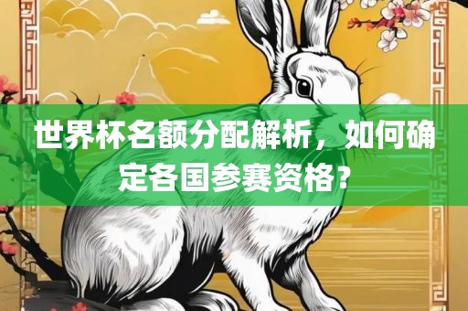 世界杯名额分配解析，如何确定各国参赛资格？