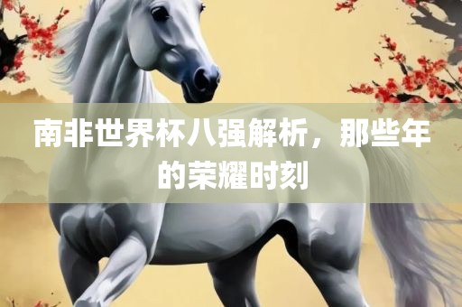 南非世界杯八强解析，那些年的荣耀时刻