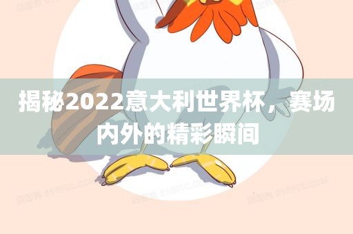 揭秘2022意大利世界杯，赛场内外的精彩瞬间
