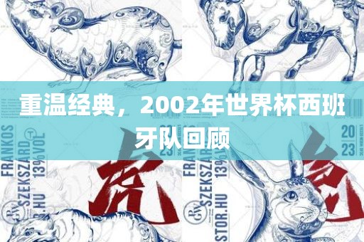 重温经典，2002年世界杯西班牙队回顾