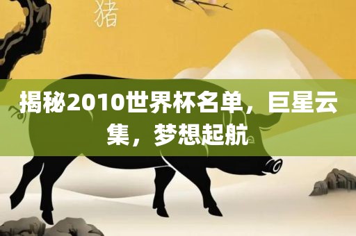 揭秘2010世界杯名单，巨星云集，梦想起航眉山市正发家政服务有限公司
