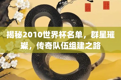 揭秘2010世界杯名单，群星璀璨，传奇队伍组建之路