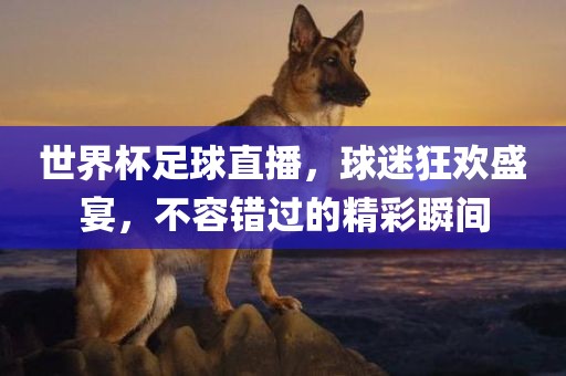 世界杯足球直播，球迷狂欢盛宴，不容错过的精彩瞬间