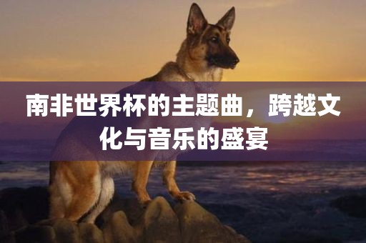 南非世界杯的主题曲，跨越文化与音乐的盛宴