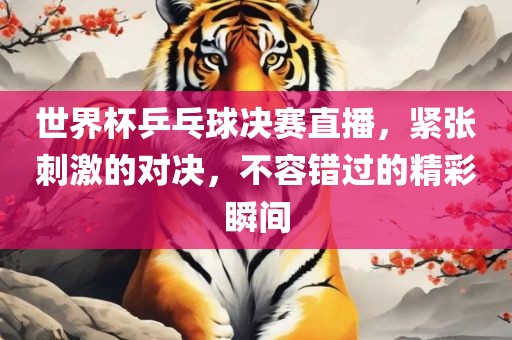 世界杯乒乓球决赛直播，紧张刺激的对决，不容错过的精彩瞬间