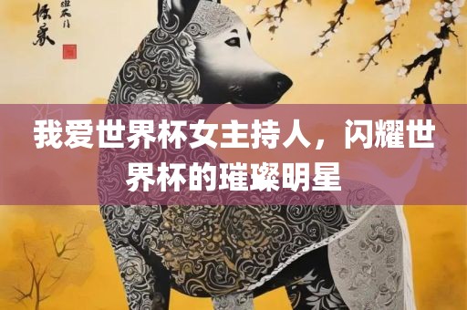 我爱世界杯女主持人，闪耀世界杯的璀璨明星
