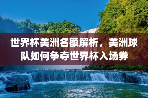 世界杯美洲名眉山市正发家政服务有限公司额解析，美洲球队如何争夺世界杯入场券