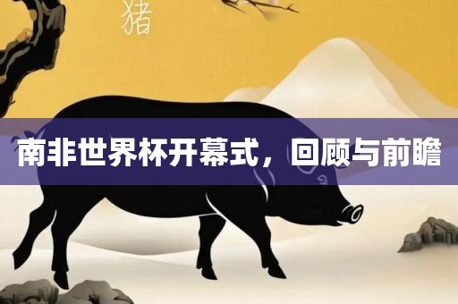 南非世界杯开幕式，回顾与前瞻
