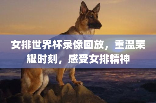 女排世界杯录像回放，重温荣耀时刻，感受女排精神