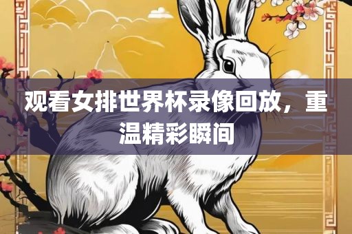 观看女排世界杯录像回放，重温精彩瞬间