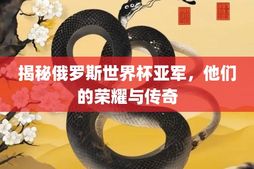 揭秘俄罗斯世界杯亚军，他们的荣耀与传奇眉山市正发家政服务有限公司