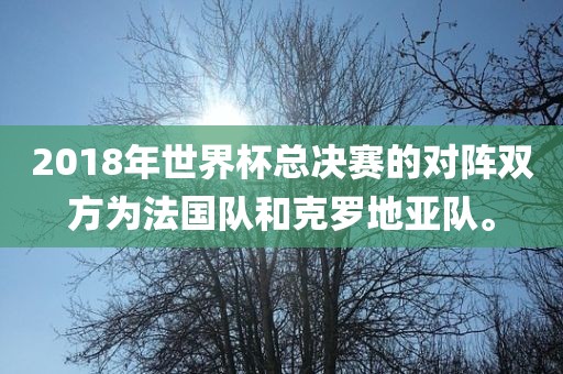 2018年世界杯总决赛的对阵双方为法国队和克罗地亚队。眉山市正发家政服务有限公司
