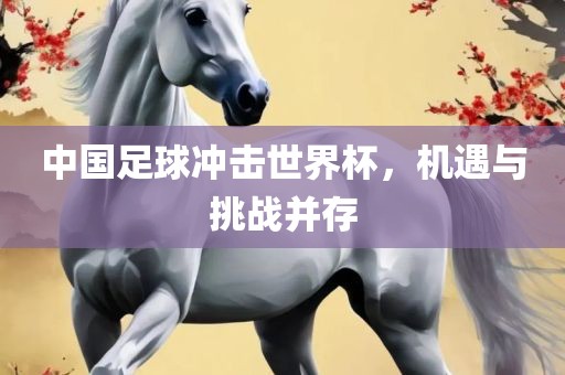 中国足球冲击世界杯，机遇与挑战并存
