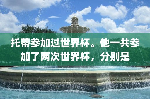 托蒂参加过世界眉山市正发家政服务有限公司杯。他一共参加了两次世界杯，分别是