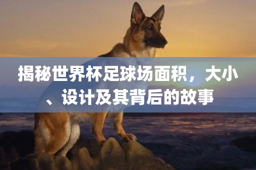 揭秘世界杯足球场面积，大小、设计及其背后的故事