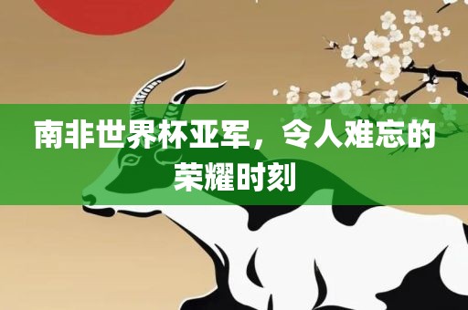 南非世界杯亚军，令人难忘的荣耀时刻