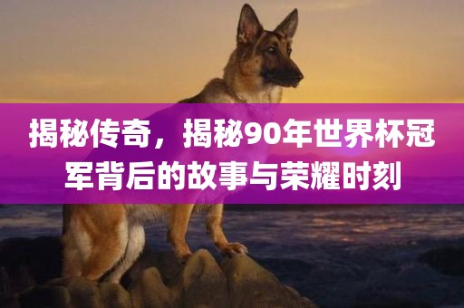 揭秘传奇，揭秘90年世界杯冠军背后的故事与荣耀时刻