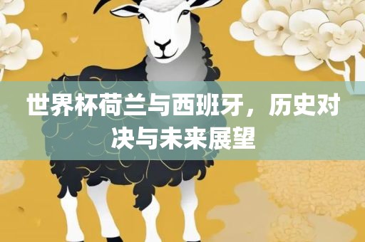 世界杯荷兰与西班牙，历史对决与未来展望