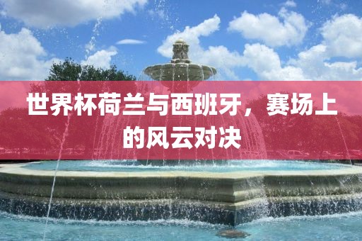世眉山市正发家政服务有限公司界杯荷兰与西班牙，赛场上的风云对决