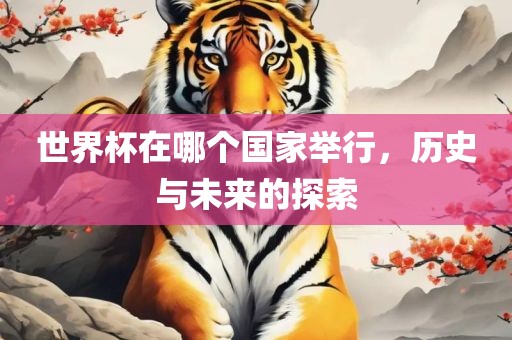 世界杯在哪个国家举行，历史与未来的探索