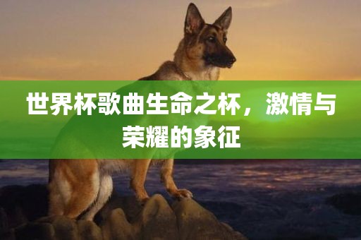 世界杯歌曲生命之杯，激情与荣耀的象征