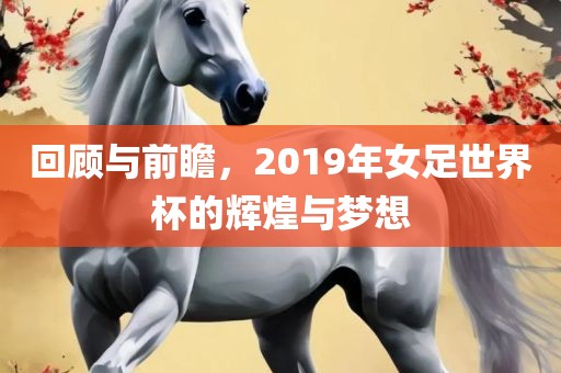 回顾与前瞻，2019年女足世界杯的辉煌与梦想眉山市正发家政服务有限公司